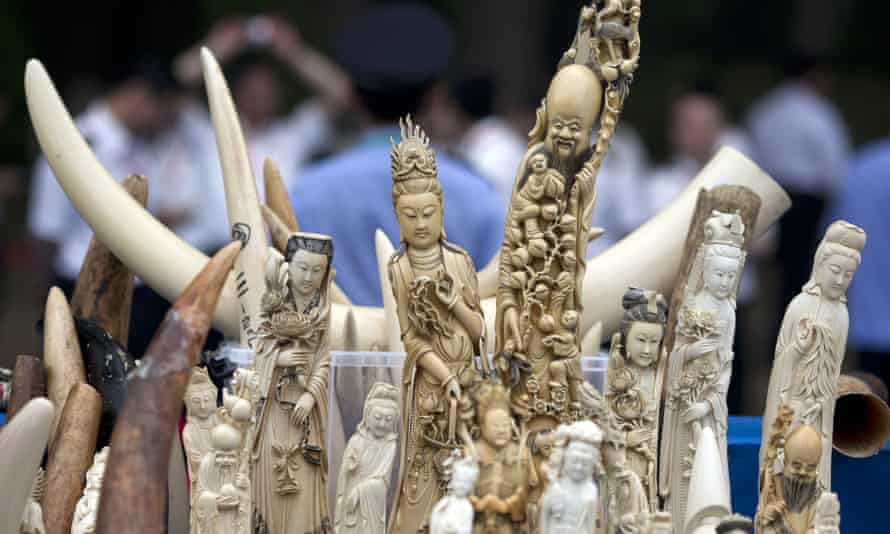 Seized ivory products in China