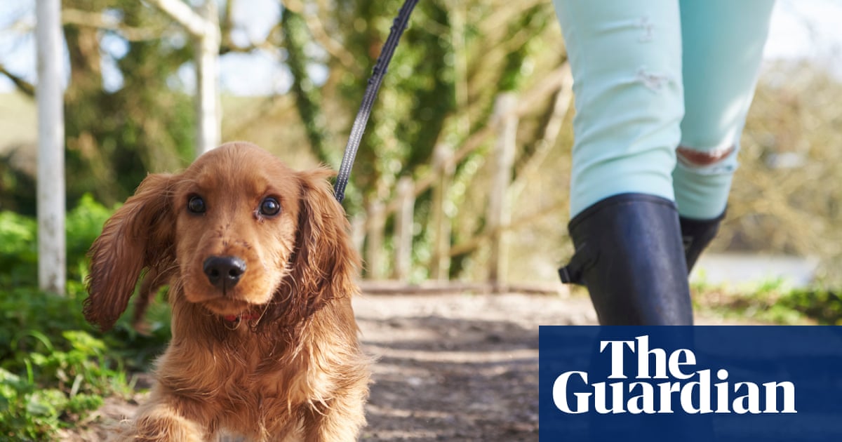 Rover-tourism: Italian province proposes tourist tax for dogs