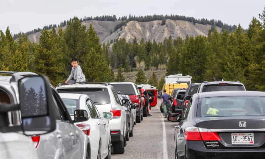 Hundreds of cars line up to enter Yellowstone and Grand Teton national parks. Cars with license plates from New York and Florida were among the visitors awaiting entry.