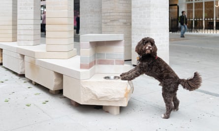 A canine visitor to Clerkenwell Design Week 2024 enjoys a drink at the Brick From a Stone installation.