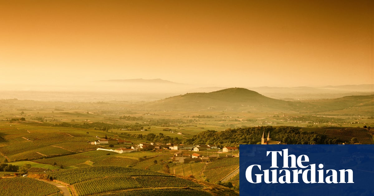 Is there such a thing as affordable white burgundy?