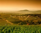Is there such a thing as affordable white burgundy?