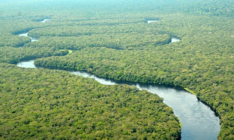 An aerial view of Salonga national park in the Democratic Republic of the Congo