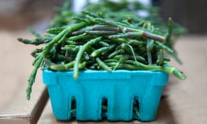 Samphire,