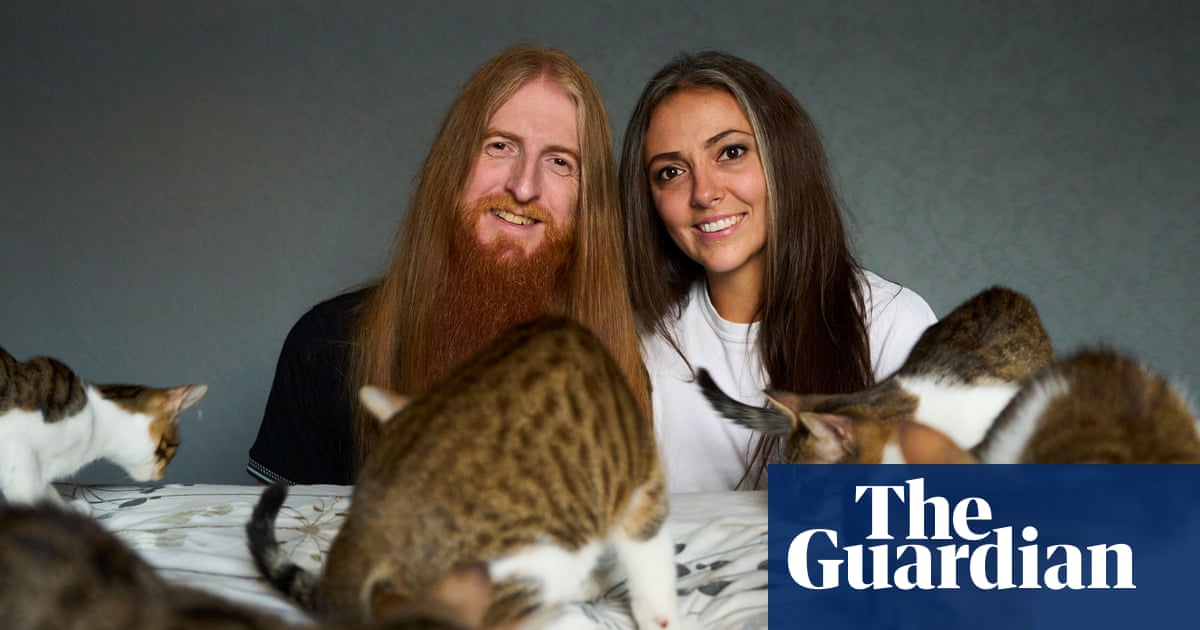 Couple tell of ordeal when kittens went missing after being left in plane hold