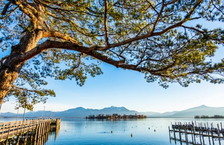 a beautiful lake on a sunny day with. tree in foreground
