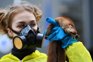 London, England Hazmat-clad PETA supporters protest against fur outside the Danish Embassy. The protest follows the Danish government’s proposal to kill all minks in the country’s fur industry, up to 17 million animals, after a mutated strain of coronavirus spread from minks to fur farm workers