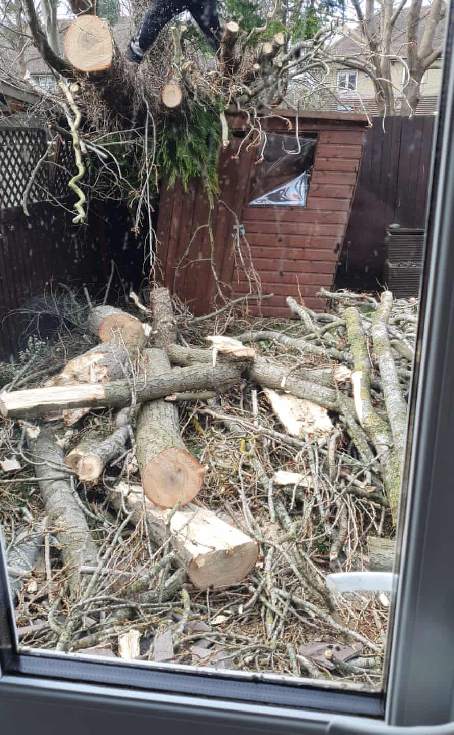 Francesco Manni and Jane Dawber woke on Saturday morning to find their garden was destroyed in the storm.