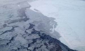 Arctic sea ice