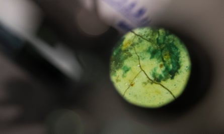 Cracks in the surface of a 16th-century painting as seen through Martin’s microscope.