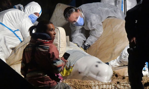 Des vétérinaires s'occupent d'un béluga échoué dans la Seine à Notre Dame de la-Garenne, dans le nord de la France.