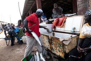 Fish seller Farba Fatty uses a freezer at Tanji fish market.