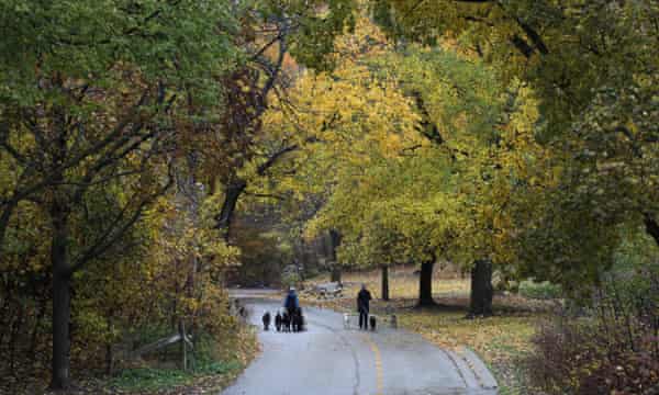There S No Major City Like It Toronto S Unique Ravine System