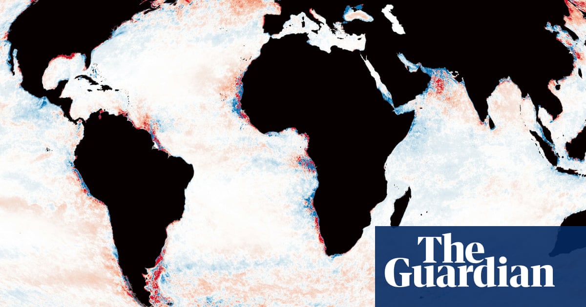 Planet's darkening oceans pose threat to marine life, scientists say