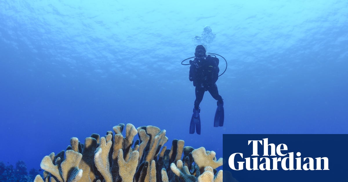 Almost every shallow-water coral reef on the planet faces ecosystem collapse by 2075, UN advisors say