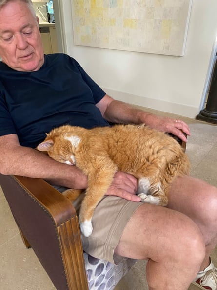 Julot, a ginger cat, nuzzles his head into Mason’s arm as he lays on his lap