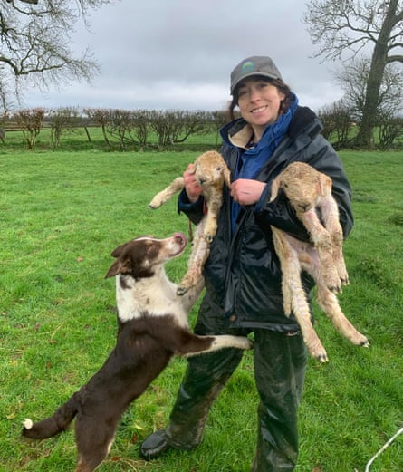 Elizabeth Johnson holds lambs while a collie dog jumps up her leg.