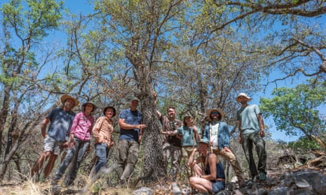 The nine-person search group stand beside a Quercus tardifolia.