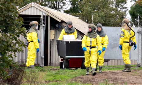 Employees from the Danish veterinary and food administration and the Danish Emergency Management Agency in PPE during October’s cull.