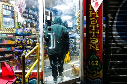 a cat stands in the entrance of a store