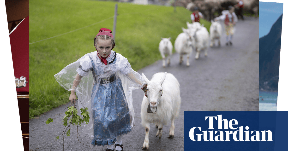 Mirrored floors and mountain goats: photos of the day Tuesday