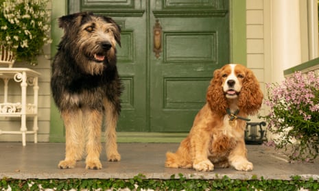 Lady and the Tramp review – Disney's lovestruck dogs come to half-life