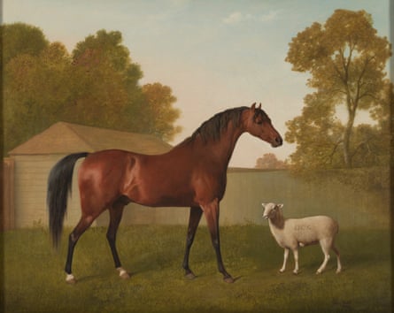 ‘Questions about how we treat other species’ … Dungannon with a Lamb, 1793.