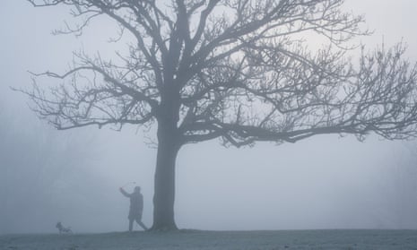 Have you woken up to frost and fog? Share your photos | UK weather ...