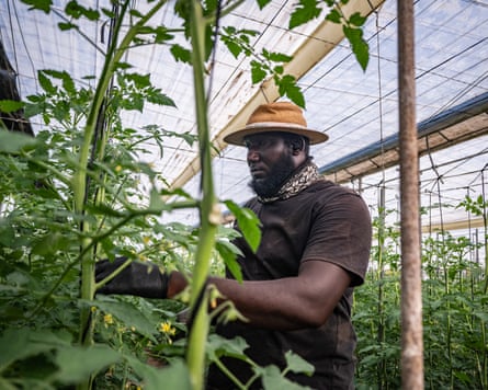 The worker stands among plants