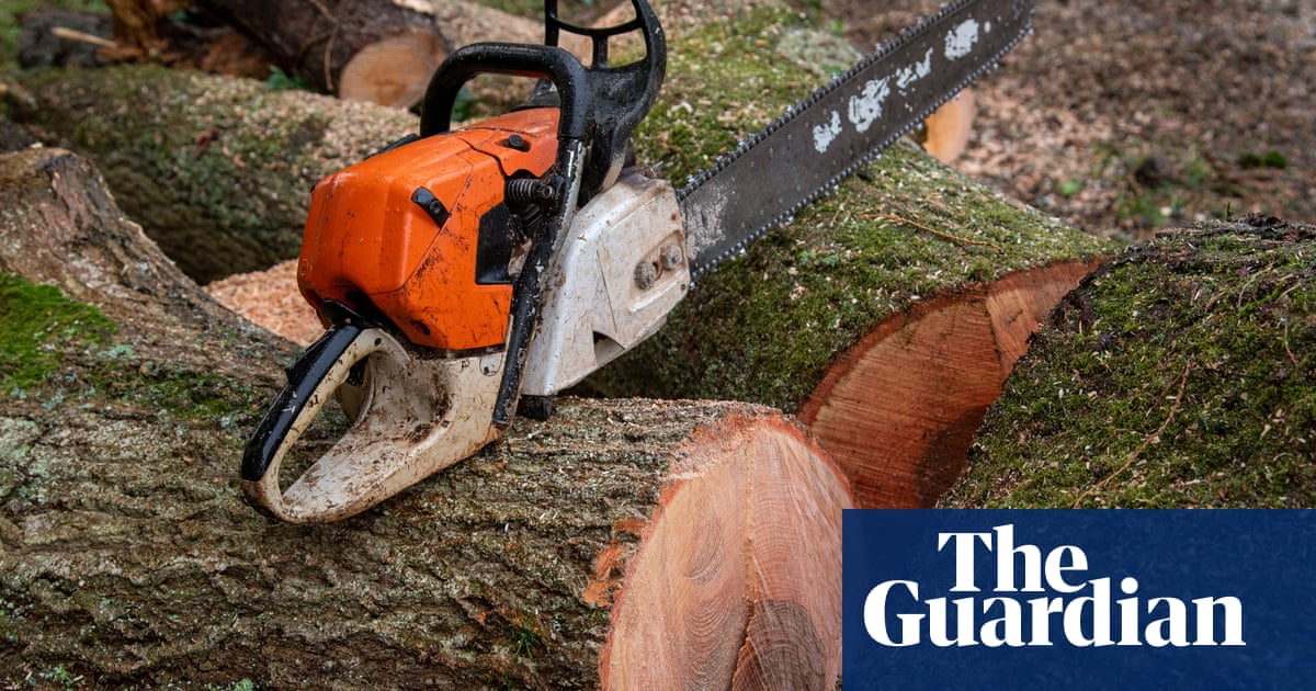 Illegal tree felling in England to be punishable with jail and uncapped fines
