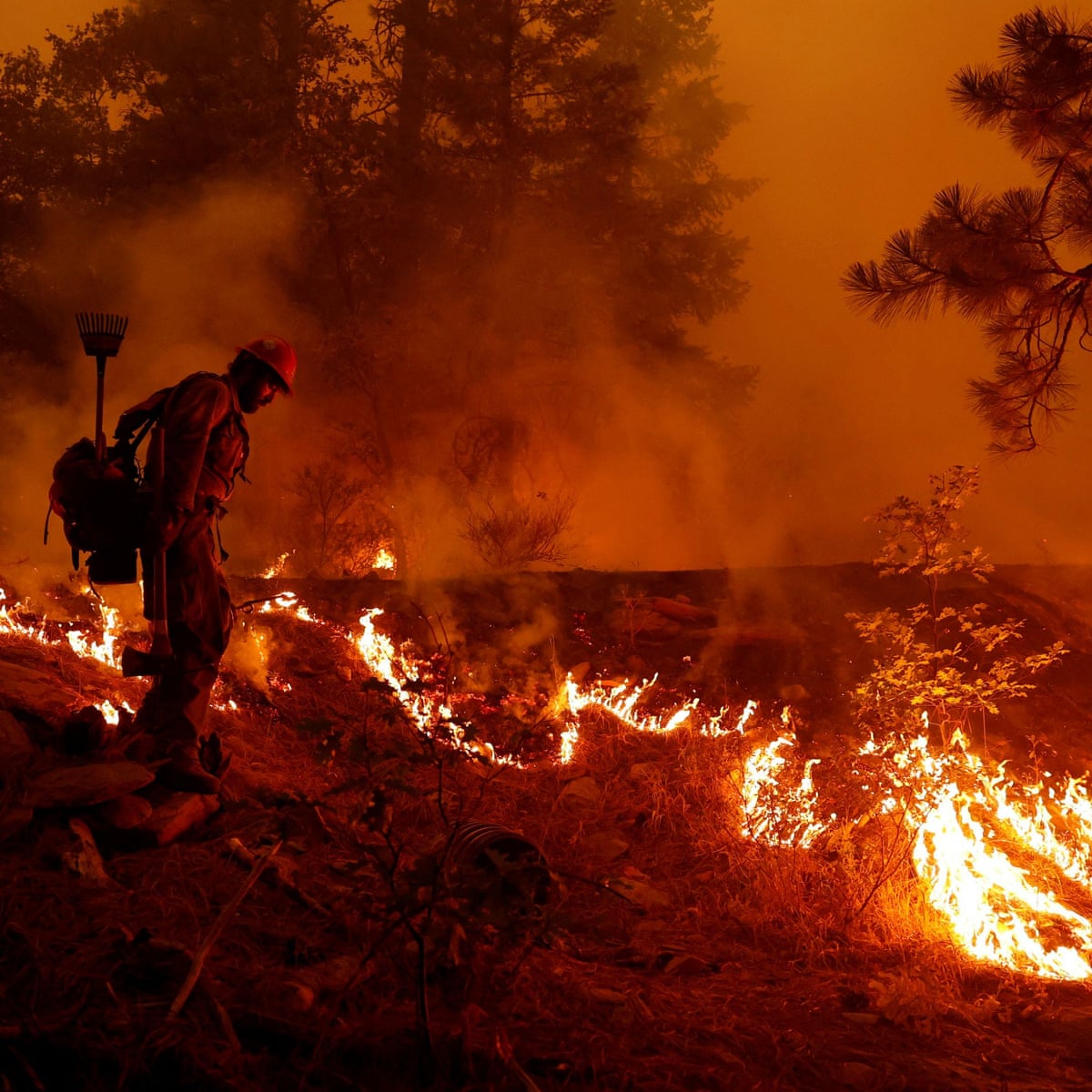 Dixie fire: eight missing in largest single wildfire in California history | Climate change | The Guardian