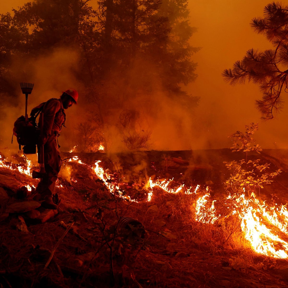 Dixie fire: eight missing in largest single wildfire in California history  | Climate change | The Guardian