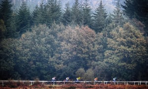 Talking Horses Forest Bihan The Right One For Exeter S Gold Cup Sport The Guardian