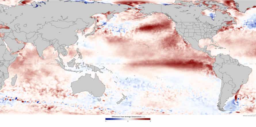 Sea surface anomalies in August 2015