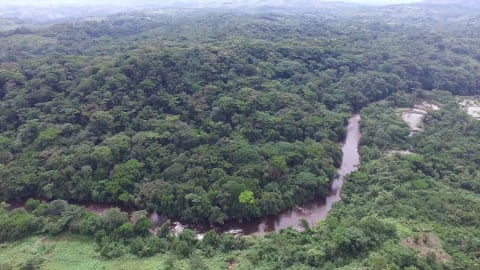 Itombwe tropical forest holds a great biodiversity in flora and fauna, and it hosts livelihoods activities that local communities and indigenous peoples would like to see guaranteed by the National Reserve