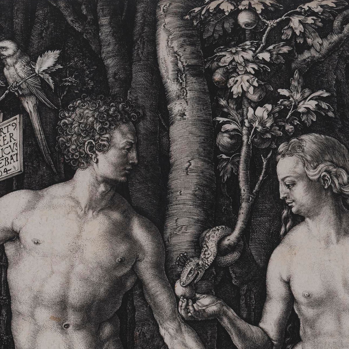 Albrecht Dürer&#39;s Adam and Eve: heavenly bodies | Art and design | The Guardian
