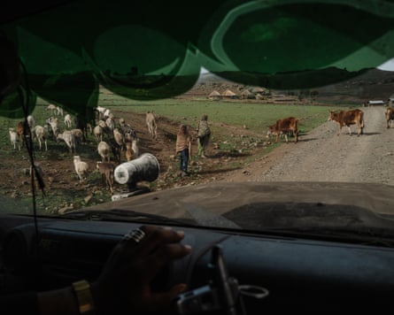View from vehicle of villages and livestock