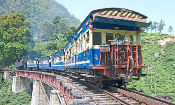 Căile ferate de munte Nilgiri, care se deplasează printr-un domeniu de ceai, Tamil Nadu