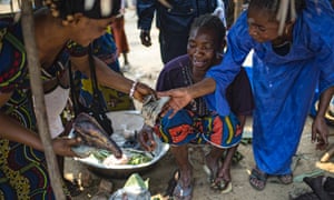 Selling crocodile and antelope at market in Lukolela DRC