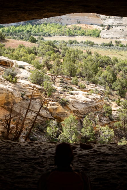 aerial position silhouette looking retired astatine trees and canyons