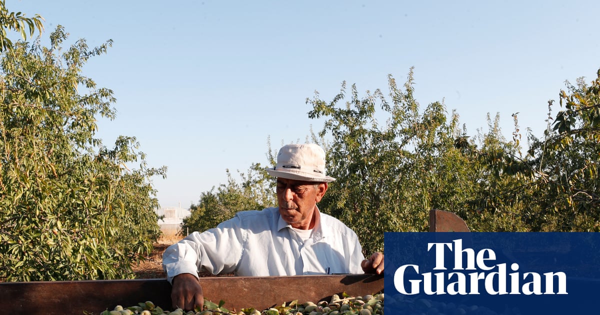 Palestinian food brand says UK sales up 50% as shoppers show solidarity