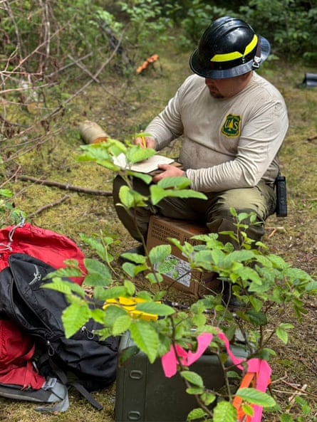 Man in long sleeves and black hard hat sits on a box on mossy ground.