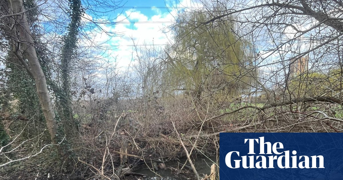 Campaigner threatened with prosecution by Environment Agency after waterway cleanup