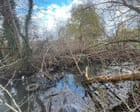 Campaigner threatened with prosecution by Environment Agency after waterway cleanup