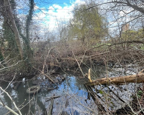 Campaigner threatened with prosecution by Environment Agency after waterway cleanup