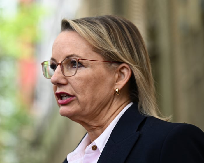 Australia news live: Ley says Rudd’s position not tenable despite Trump telling ambassador ‘all is forgiven’ after White House meeting