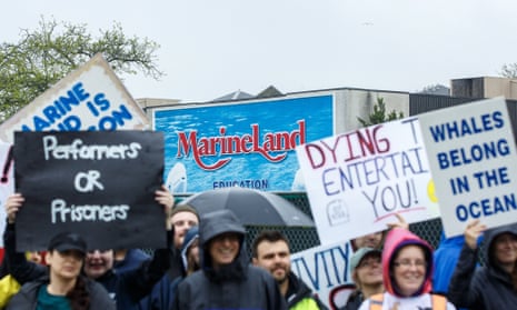 Protestors stand outside Marineland in Niagara Falls, Ontario in May 2023.