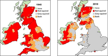 Red and grey squirrel distribution in the British Isles in 1945 and 2010