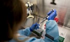 US agriculture department announces $100m in funding for bird flu vaccine research