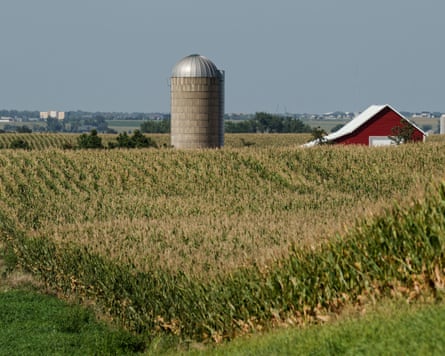 A red house peaks out from the crops.